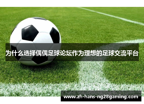 为什么选择偶偶足球论坛作为理想的足球交流平台