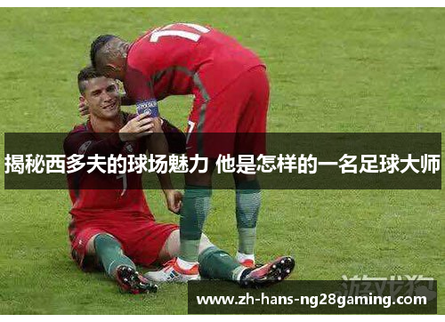 揭秘西多夫的球场魅力 他是怎样的一名足球大师