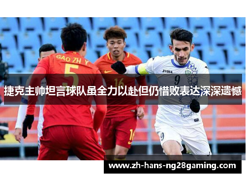 捷克主帅坦言球队虽全力以赴但仍惜败表达深深遗憾