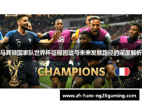马其顿国家队世界杯征程困境与未来发展路径的深度解析