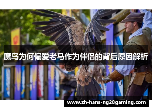 魔鸟为何偏爱老马作为伴侣的背后原因解析