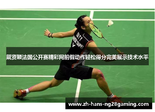 戴资颖法国公开赛精彩网前假动作轻松得分完美展示技术水平