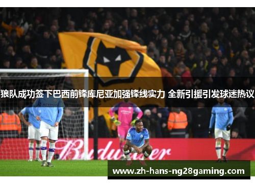 狼队成功签下巴西前锋库尼亚加强锋线实力 全新引援引发球迷热议 狼队成功签下巴西前锋库尼亚加强锋线实力 全新引援引发球迷热议